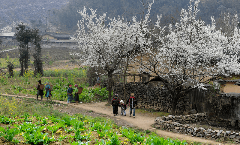 Tour Cao Bằng - Tịnh Tây 3 Ngày, 2 Đêm Tour Cao Bằng - Tịnh Tây 3 Ngày, 2 Đêm