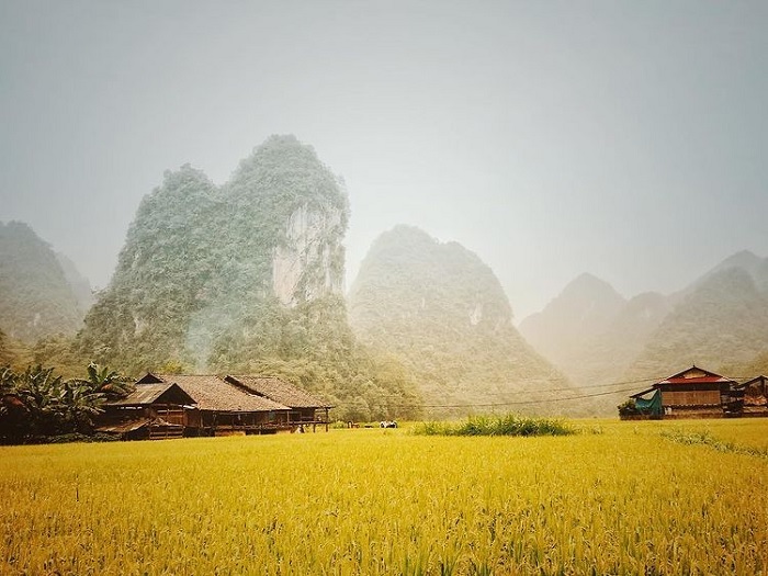 Làng hương Phia Thắp: điểm dừng văn hóa nên ghé trên đường đi Bản Giốc Làng hương Phia Thắp: điểm dừng văn hóa nên ghé trên đường đi Bản Giốc