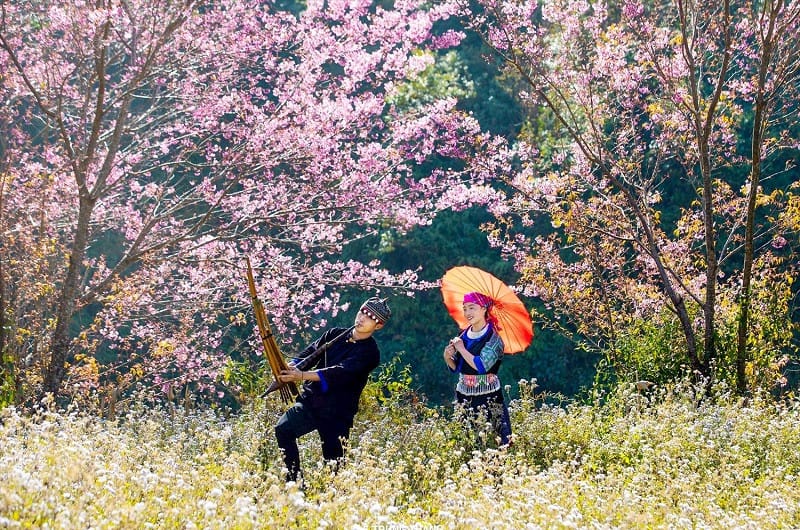 Cẩm Nang Du Lịch Cao Bằng - Khám Phá Ẩm Thực Đặc Sắc Cẩm Nang Du Lịch Cao Bằng - Khám Phá Ẩm Thực Đặc Sắc