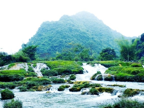 Phong Nậm Cao Bằng: Thiên Đường Xanh Giữa Núi Rừng Biên Viễn Phong Nậm Cao Bằng: Thiên Đường Xanh Giữa Núi Rừng Biên Viễn
