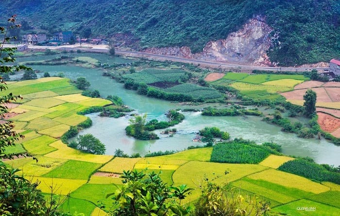 Phong Nậm Cao Bằng: Thiên Đường Xanh Giữa Núi Rừng Biên Viễn Phong Nậm Cao Bằng: Thiên Đường Xanh Giữa Núi Rừng Biên Viễn