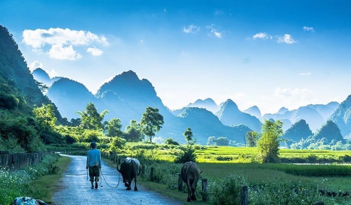 Phong Nậm Cao Bằng: Thiên Đường Xanh Giữa Núi Rừng Biên Viễn Phong Nậm Cao Bằng: Thiên Đường Xanh Giữa Núi Rừng Biên Viễn