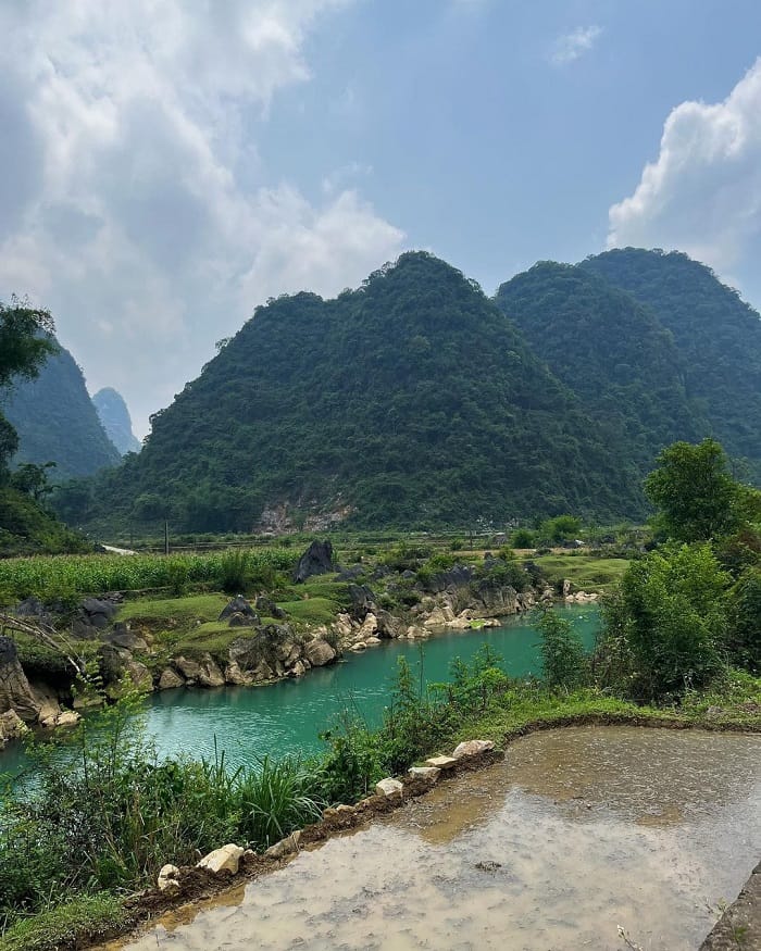 Phong Nậm Cao Bằng: Thiên Đường Xanh Giữa Núi Rừng Biên Viễn Phong Nậm Cao Bằng: Thiên Đường Xanh Giữa Núi Rừng Biên Viễn