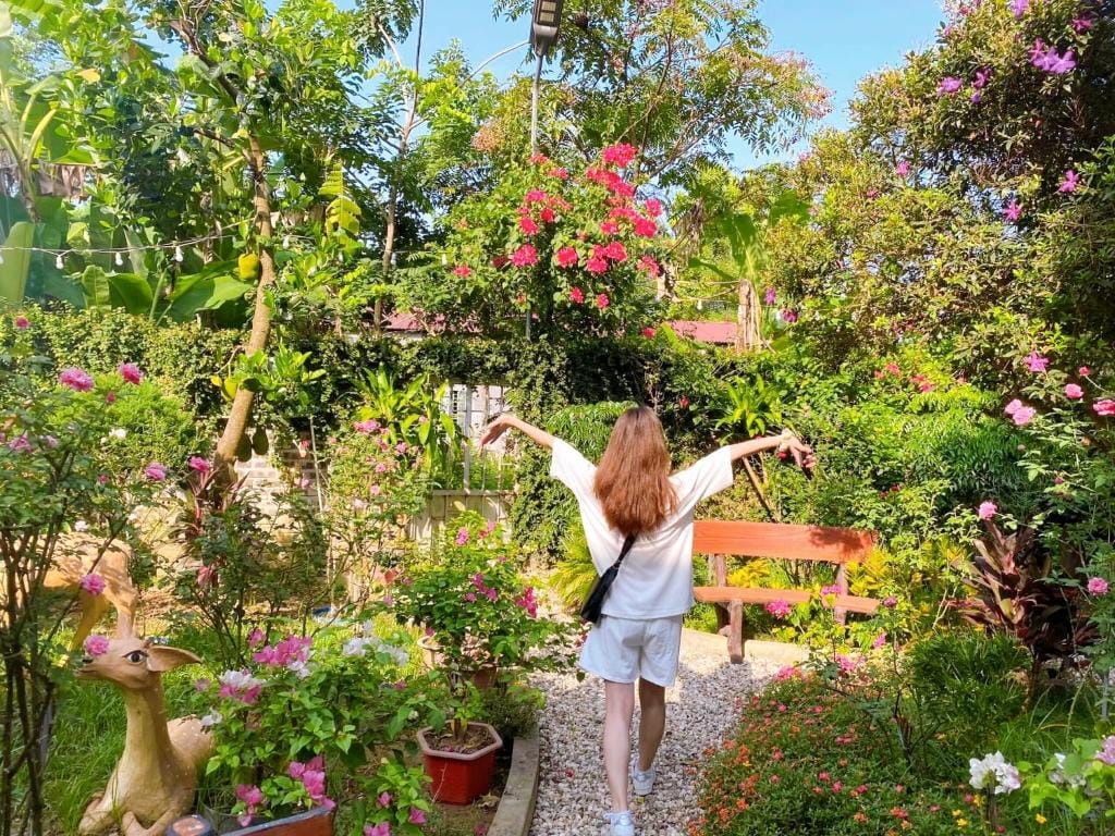 Du Lịch Cao Bằng Mùa Hè: 7 Kinh Nghiệm Cho Người Đi Lần Đầu