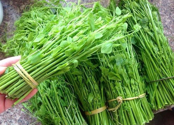 Top 15 Đặc Sản Cao Bằng Nên Mua Về Làm Quà Khi Du Lịch Cao Bằng Top 15 Đặc Sản Cao Bằng Nên Mua Về Làm Quà Khi Du Lịch Cao Bằng