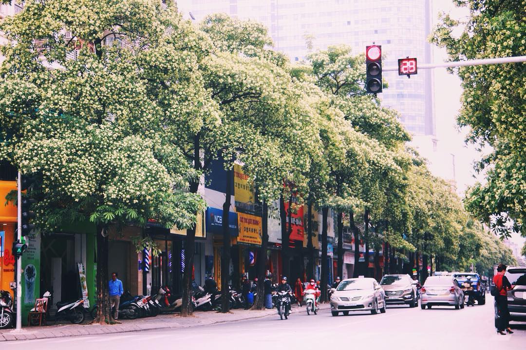 Cảm Nhận Về Mùa Thu Hà Nội, Một Lần Ghé, Một Đời Nhớ Cảm Nhận Về Mùa Thu Hà Nội, Một Lần Ghé, Một Đời Nhớ