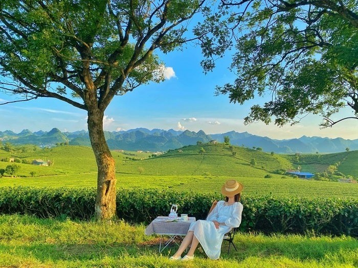 Top 20 Điểm Du Lịch Hot Nhất Việt Nam 2026 Được Du Khách Săn Đón Top 20 Điểm Du Lịch Hot Nhất Việt Nam 2026 Được Du Khách Săn Đón