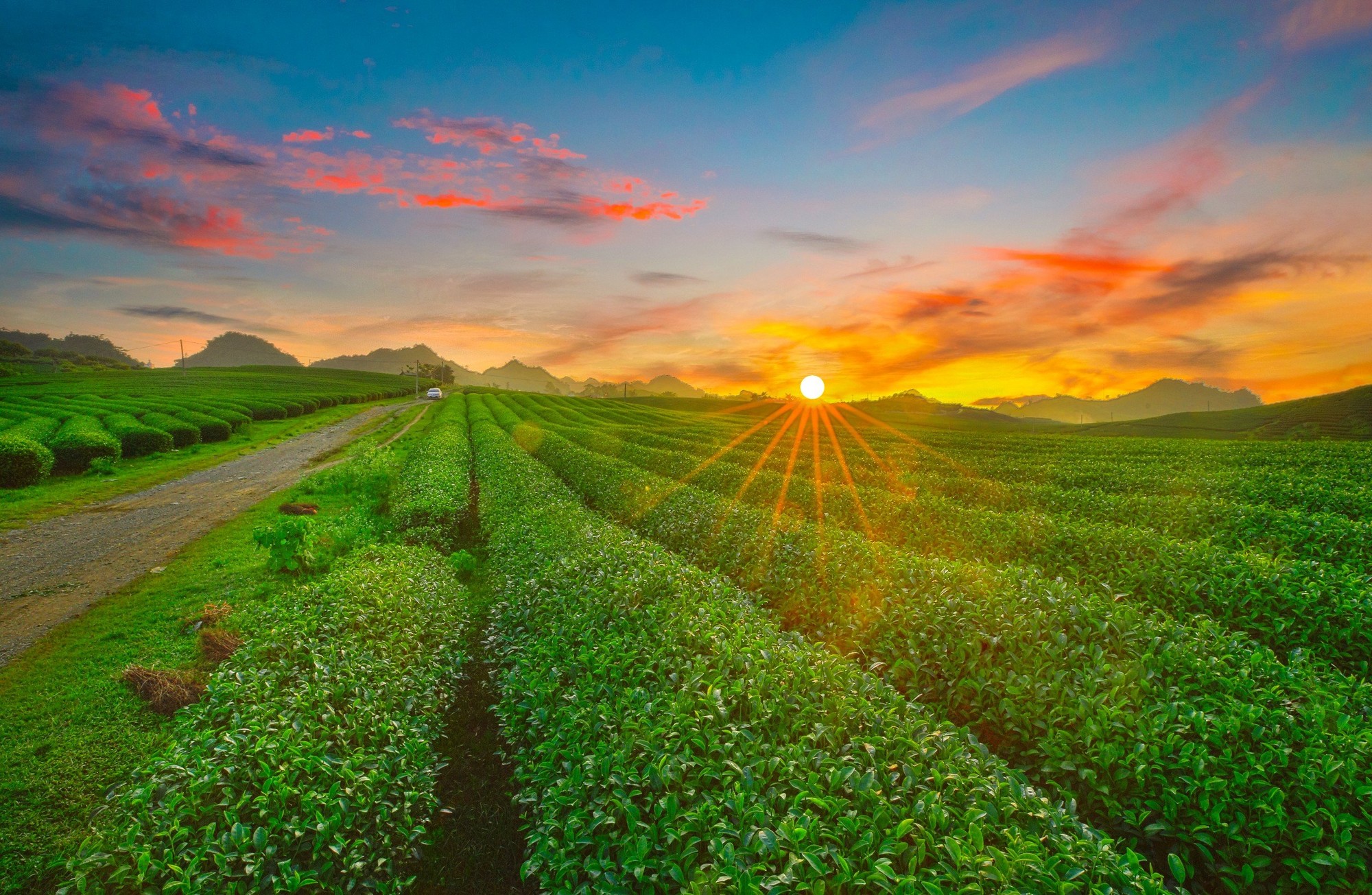 Top 20 Điểm Du Lịch Hot Nhất Việt Nam 2026 Được Du Khách Săn Đón Top 20 Điểm Du Lịch Hot Nhất Việt Nam 2026 Được Du Khách Săn Đón