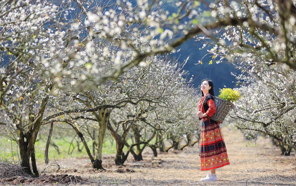 Top 20 Điểm Du Lịch Hot Nhất Việt Nam 2026 Được Du Khách Săn Đón Top 20 Điểm Du Lịch Hot Nhất Việt Nam 2026 Được Du Khách Săn Đón