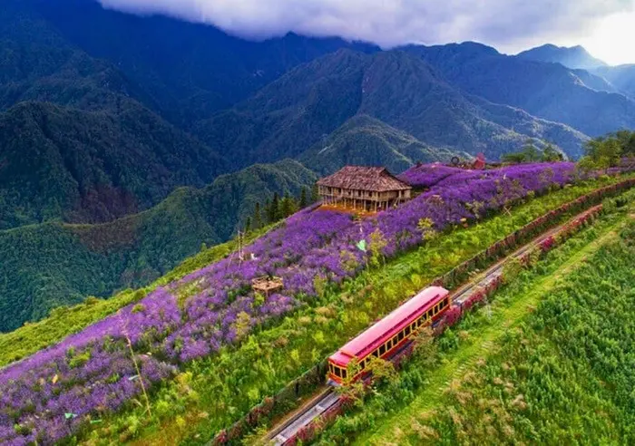 Top 20 Điểm Du Lịch Hot Nhất Việt Nam 2026 Được Du Khách Săn Đón Top 20 Điểm Du Lịch Hot Nhất Việt Nam 2026 Được Du Khách Săn Đón